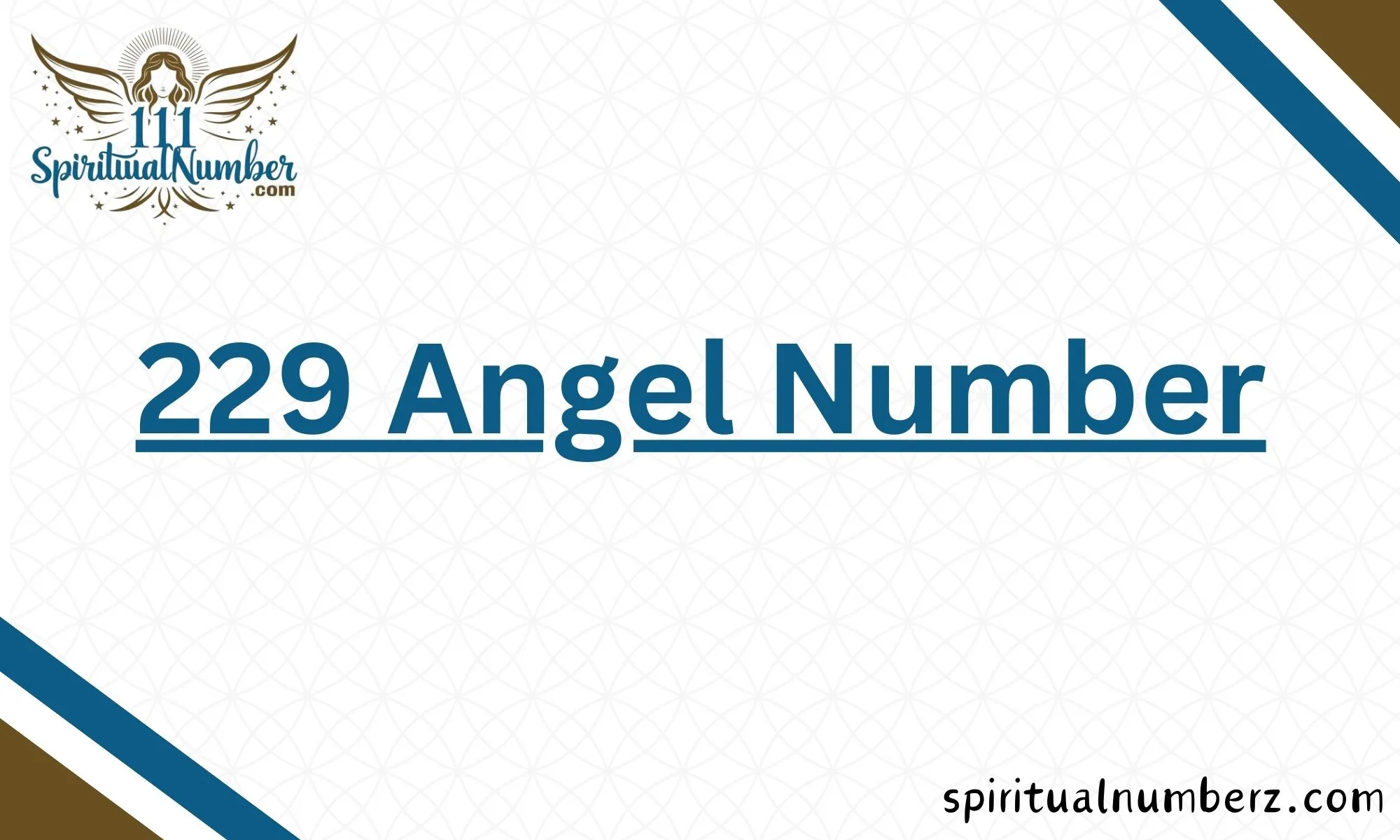 229 Angel Number