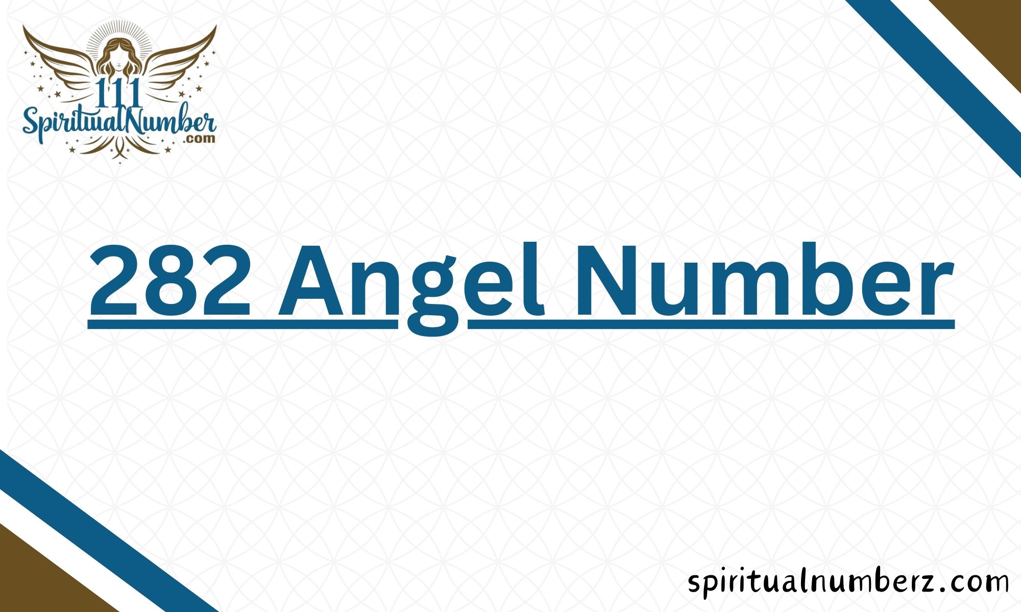 282 Angel Number