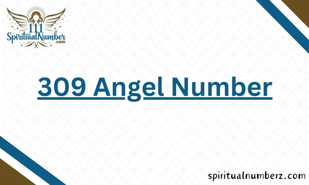 309 Angel Number