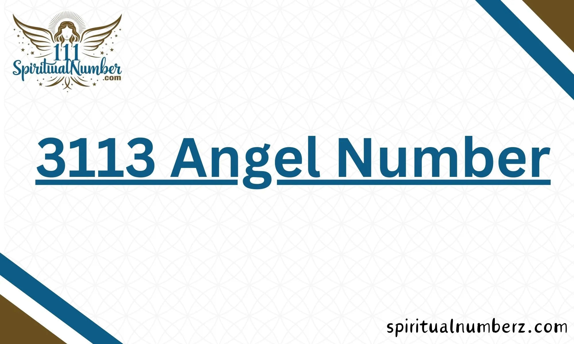 3113 Angel Number