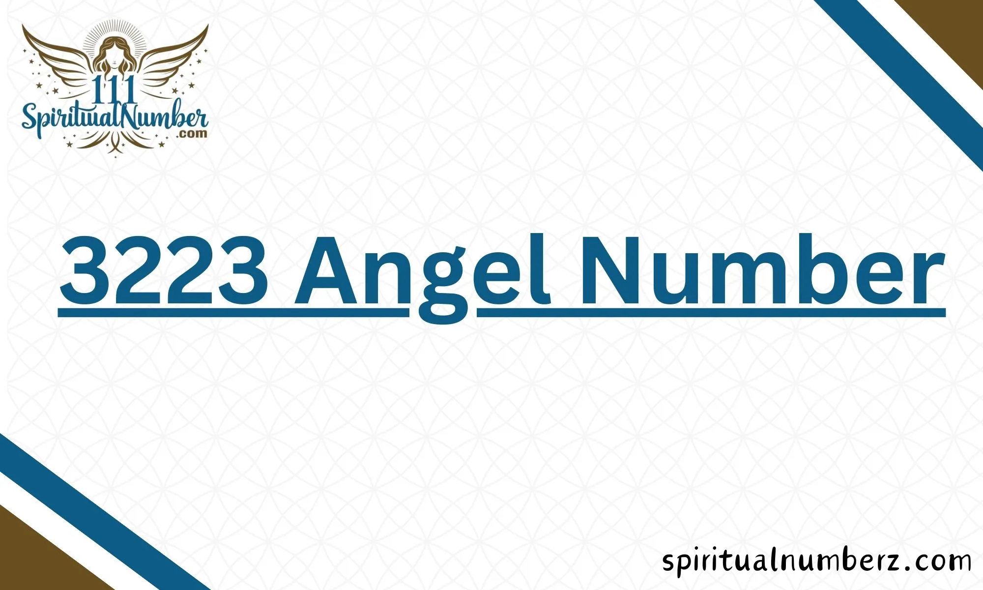 3223 Angel Number